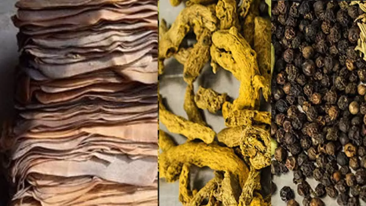 കാർഷികമേഖലയിൽ വിലയിടിവിന്റെ കാലം; കർഷകർ പ്രതിസന്ധിയിൽ കാർഷികമേഖലയിൽ വിലയിടിവിന്റെ കാലം; കർഷകർ പ്രതിസന്ധിയിൽ