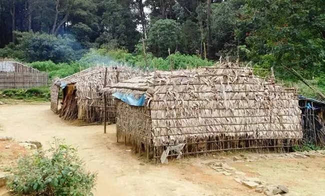 വിതുരയിലെ ആദിവാസി ഊരുകളിൽ സമഗ്ര പദ്ധതിക്ക്​ പൊലീസ്; റൂറൽ എസ്​.പി ദിവ്യ ഗോപിനാഥ്​ ഊര്​ സന്ദർശിച്ചു