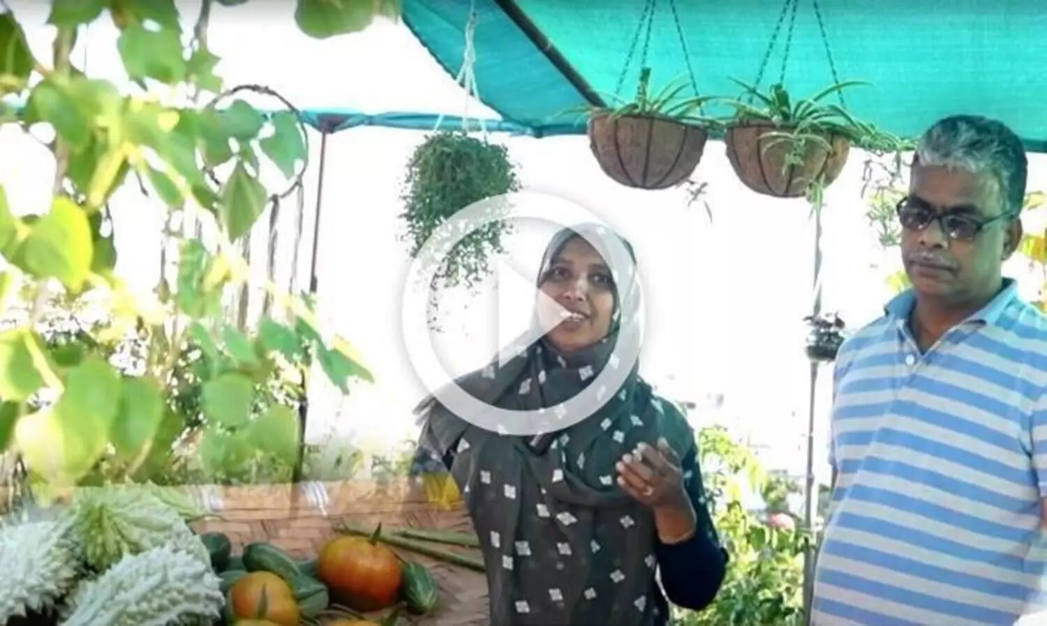 തക്കാളിയും പടവലവും മുതൽ ഉള്ളിയും പാവലും വരെ ; ഒമാനിലെ അടുക്കള കൃഷിത്തോട്ട വിശേഷങ്ങൾ