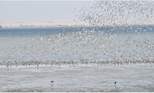 പ്രകൃതി സംരക്ഷണ കേന്ദ്രങ്ങളിലെ ടിക്കറ്റ്​ നിരക്ക്​ പ്രഖ്യാപിച്ചു