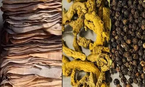 കാർഷികമേഖലയിൽ വിലയിടിവിന്‍റെ കാലം;​ ക​ർ​ഷ​ക​ർ പ്ര​തി​സ​ന്ധി​യി​ൽ​