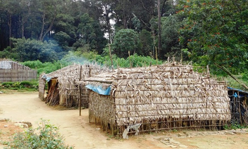 വനവിഭവങ്ങൾ കടത്താൻ ഇടനിലക്കാർ;  ആദിവാസി സഹകരണ സംഘങ്ങൾ പ്രതിസന്ധിയിൽ