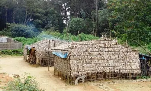 വനവിഭവങ്ങൾ കടത്താൻ ഇടനിലക്കാർ; ആദിവാസി സഹകരണ സംഘങ്ങൾ പ്രതിസന്ധിയിൽ വനവിഭവങ്ങൾ കടത്താൻ ഇടനിലക്കാർ; ആദിവാസി സഹകരണ സംഘങ്ങൾ പ്രതിസന്ധിയിൽ