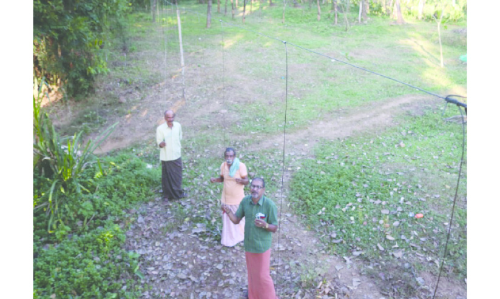 കാട്ടാന പ്രതിരോധം; ജനകീയ കൂട്ടായ്​മയിൽ തൂക്കുവേലി