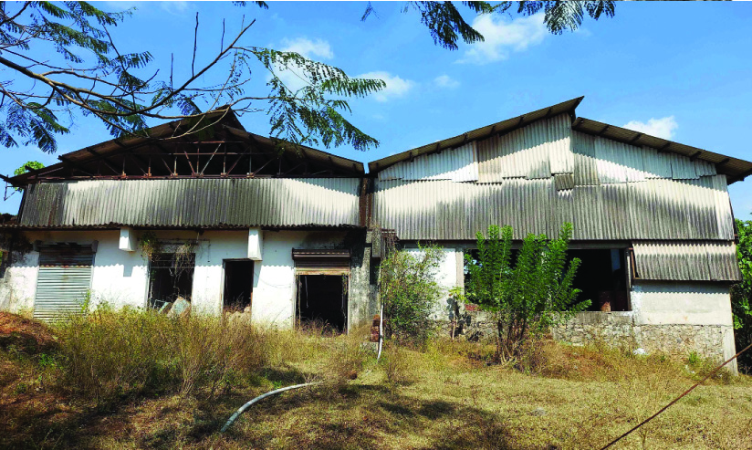 താഴുവീണ്​ 12 വർഷം; മടമ്പം ലാറ്റക്സ് ഫാക്ടറി നാശത്തിലേക്ക്​