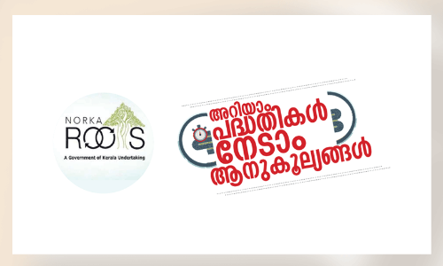 കൂടെയുണ്ട്​ പദ്ധതികൾ; പ്രവാസികൾക്ക്​ തണലൊരുക്കാൻ