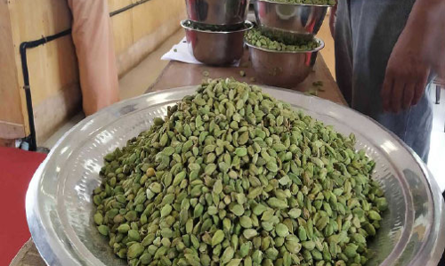 Network failure Cardamom online auction stopped