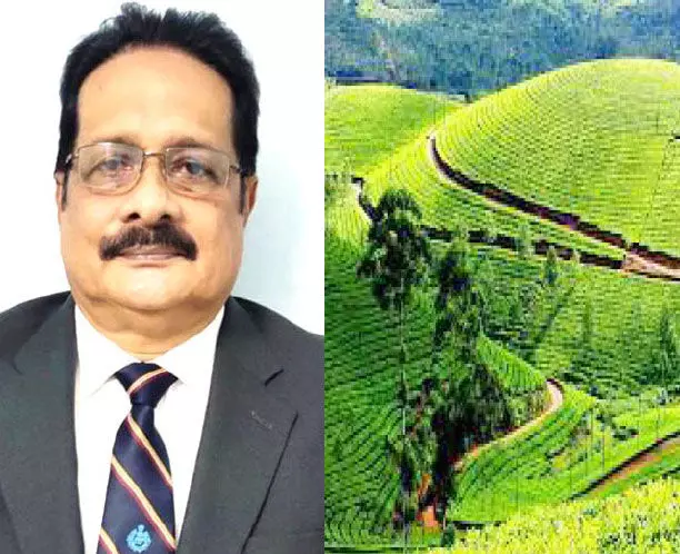 എന്റെ ഇടുക്കി: തൊടുപുഴയിലെ വോളിബാൾ കാലം