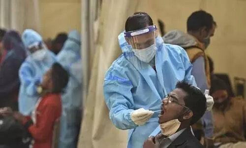 Covid Swab Collection