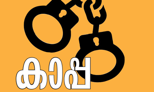 കാപ്പ: കോ​ട്ട​യം ജില്ലയിൽ പൊലീസ് നൽകിയ റിപ്പോർട്ടുകളിലേറെയും തള്ളി