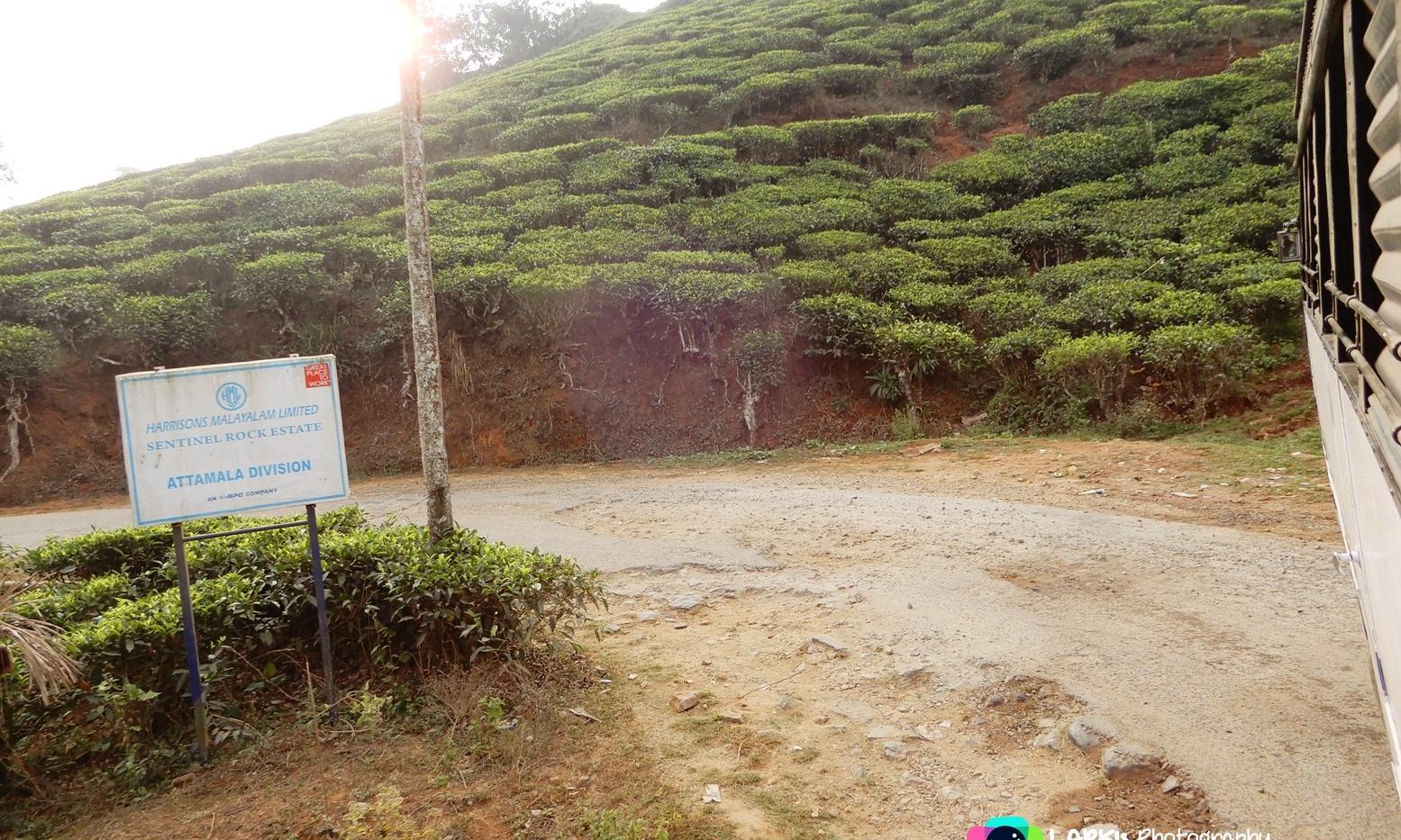 മേപ്പാടി-ചൂരൽമല റോഡ്: പ്രവൃത്തി ഫെബ്രുവരിയോടെ പൂർത്തിയാക്കും –എം.എൽ.എ മേപ്പാടി-ചൂരൽമല റോഡ്: പ്രവൃത്തി ഫെബ്രുവരിയോടെ പൂർത്തിയാക്കും –എം.എൽ.എ