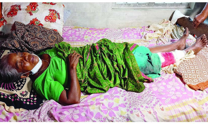 ചെന്ത്രാപ്പിന്നിയിൽ തെരുവുനായ് ശല്യം രൂക്ഷം; തൊഴിലുറപ്പ് തൊഴിലാളിയെ ആക്രമിച്ചു ചെന്ത്രാപ്പിന്നിയിൽ തെരുവുനായ് ശല്യം രൂക്ഷം; തൊഴിലുറപ്പ് തൊഴിലാളിയെ ആക്രമിച്ചു