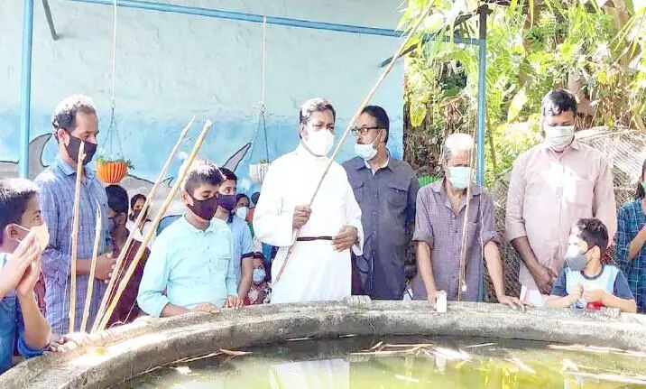 Fish farming at the school Fish farming at the school