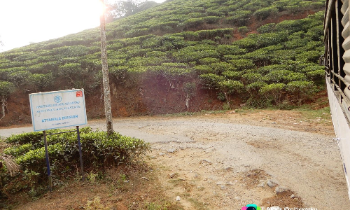 മേ​പ്പാ​ടി-​ചൂ​ര​ൽ​മ​ല റോ​ഡ്​: പ്ര​വൃ​ത്തി ഫെ​ബ്രു​വ​രി​​യോ​ടെ പൂ​ർ​ത്തി​യാ​ക്കും –എം.​എ​ൽ.​എ