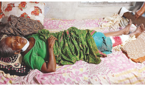 ചെന്ത്രാപ്പിന്നിയിൽ തെരുവുനായ്​ ശല്യം രൂക്ഷം; തൊഴിലുറപ്പ് തൊഴിലാളിയെ ആക്രമിച്ചു