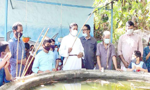 Fish farming at the school