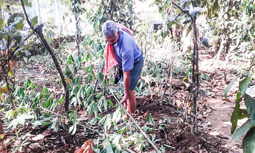 Wildlife disturbance Farmers abandon farming