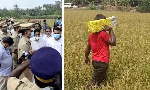 k rail survey stone k rail survey stone