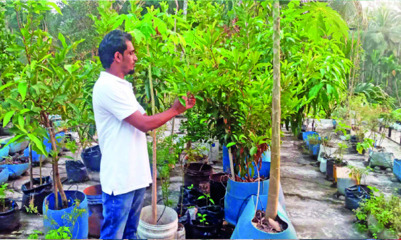 ഉബൈദിന്‍റെ ടെറസിൽ വിളയുന്നു, മുന്നൂറോളം പച്ചക്കറിയും പഴങ്ങളും