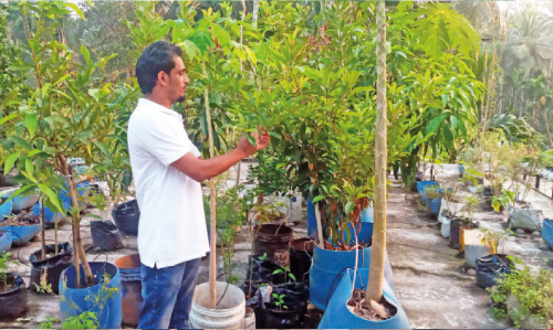 ഉബൈദിന്‍റെ ടെറസിൽ വിളയുന്നു, മുന്നൂറോളം പച്ചക്കറിയും പഴങ്ങളും