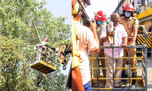 പരുന്തിനെ രക്ഷിക്കാൻ ക്രെയിൻ വാടകക്കെടുത്ത് മുകേഷ് ജെയിൻ