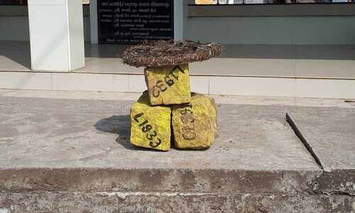 അങ്കമാലിയിൽ സിൽവർ ലൈൻ സർവെക്കല്ലുകൾ പിഴുതുമാറ്റി; സംഘർഷ സാധ്യത