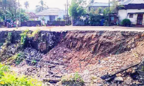 കൃഷി ഉണങ്ങിത്തുടങ്ങി; പെരിയാർവാലി കനാലിൽ വെള്ളം തുറന്നുവിടും