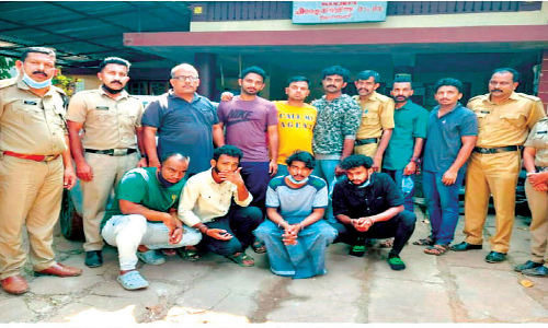 Excise cannabis hunt Five arrested