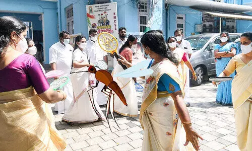Mosquito infestation rampant Locals protest
