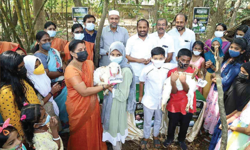 ജീവൻ ജീവ‍​െൻറ ജീവൻ 14ാം വർഷത്തിലേക്ക്; ആട്ടിൻകുട്ടികളെ വിതരണം ചെയ്തു