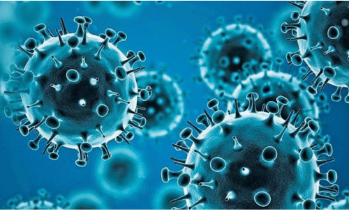 രോഗമുക്തി നാലായിരം കടന്നു