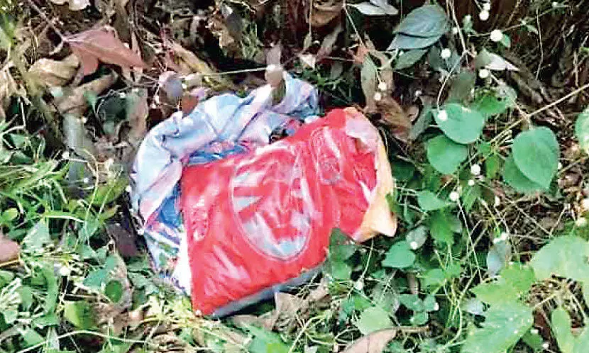 Two kg from the house yard Cannabis found