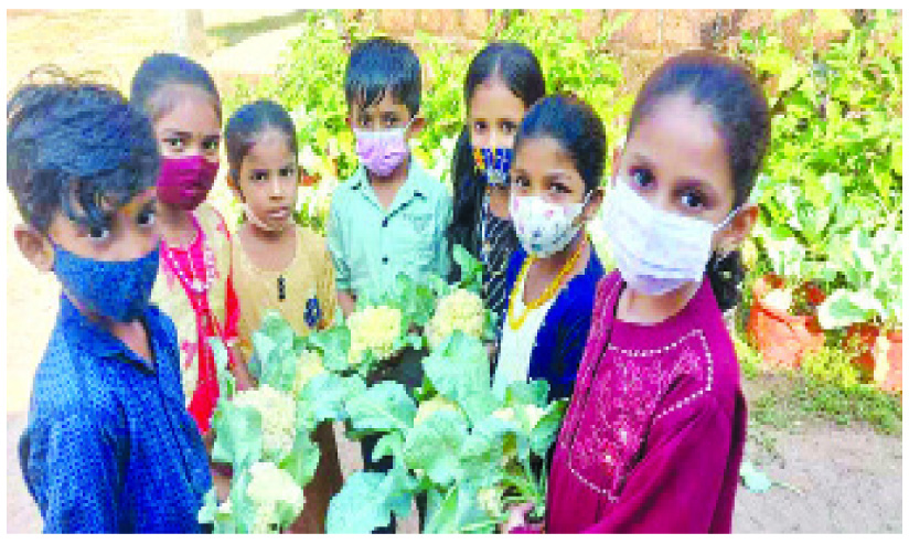 പച്ചക്കറി കൃഷിയിൽ നൂറുമേനി കൊയ്ത് വിദ്യാർഥികൾ