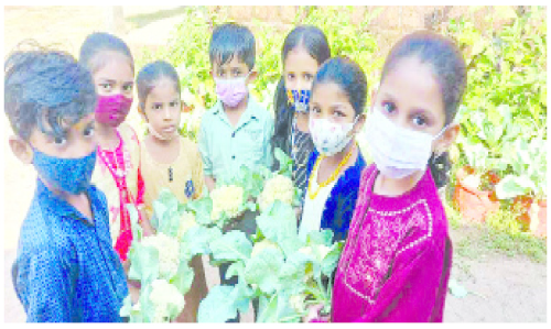 പച്ചക്കറി കൃഷിയിൽ നൂറുമേനി കൊയ്ത് വിദ്യാർഥികൾ
