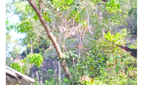 വിട്ടിയറമലയിൽ പാറഖനനത്തിന്​ നീക്കം; ​പ്രതിഷേധം ശക്തം