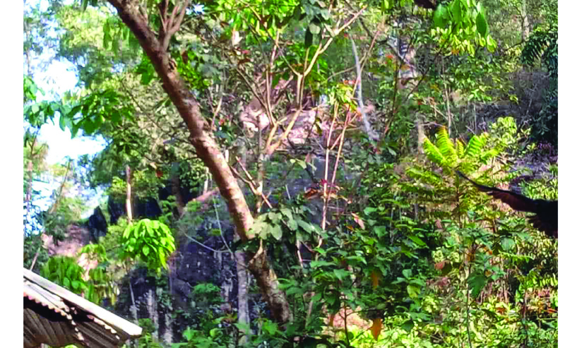 വിട്ടിയറമലയിൽ പാറഖനനത്തിന്​ നീക്കം; ​പ്രതിഷേധം ശക്തം