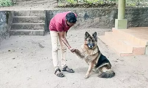 Dog Squad to protect Sandalwood