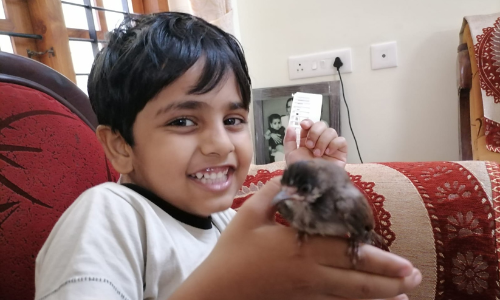 ആ സ്നേഹക്കൂട്ടിൽ നിന്ന് പറന്നു പറന്ന്...