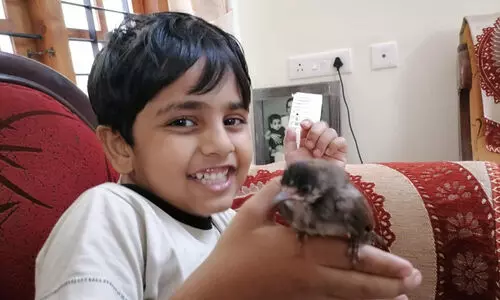 ആ സ്നേഹക്കൂട്ടിൽ നിന്ന് പറന്നു പറന്ന്...