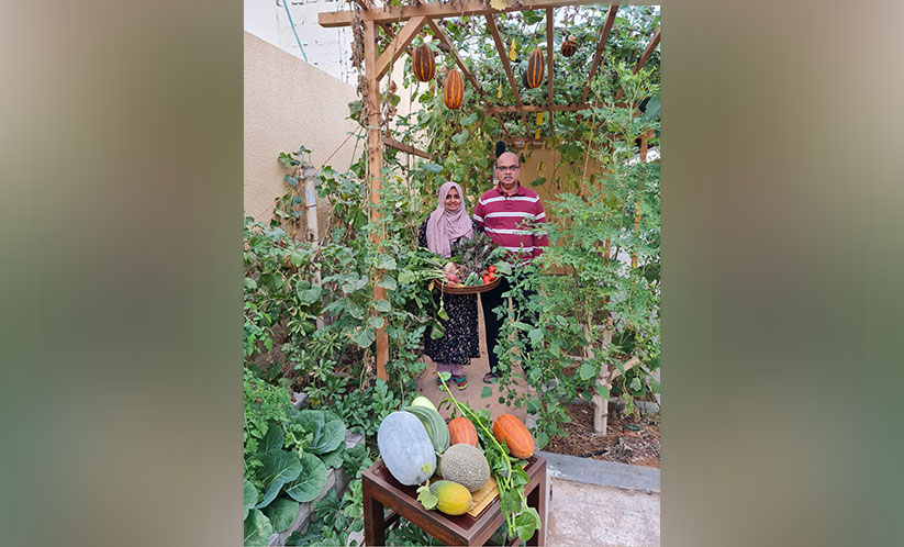 വിളകളാൽ സമൃദ്ധം, വിഷരഹിതം ഈ അടുക്കളത്തോട്ടം വിളകളാൽ സമൃദ്ധം, വിഷരഹിതം ഈ അടുക്കളത്തോട്ടം