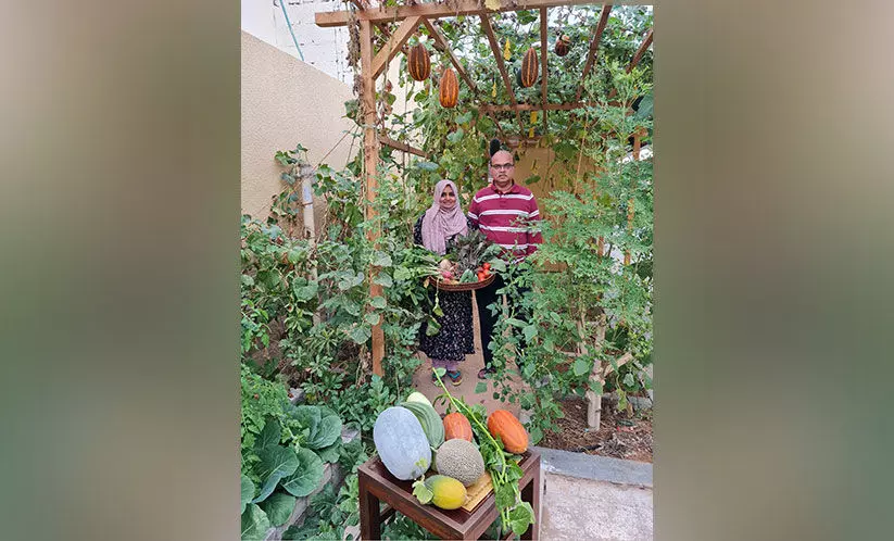 വിളകളാൽ സമൃദ്ധം, വിഷരഹിതം ഈ അടുക്കളത്തോട്ടം വിളകളാൽ സമൃദ്ധം, വിഷരഹിതം ഈ അടുക്കളത്തോട്ടം