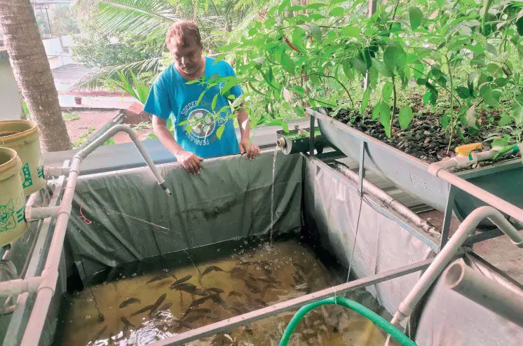 Of Razak Agricultural Laboratory Of Razak Agricultural Laboratory