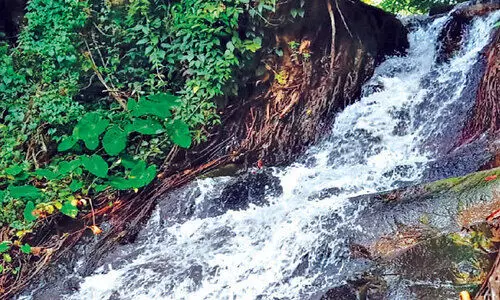 മെ​രി​ലാ​ൻ​ഡി​ൽ മ​റ​ഞ്ഞി​രി​ക്കു​ന്നു​ണ്ട്;   ന​യ​ന​മ​നോ​ഹ​ര​മാ​യൊ​രു വെ​ള്ള​ച്ചാ​ട്ടം