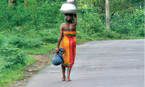 ചോ​ല​നാ​യ്ക്ക​രി​ൽ പു​റം​ലോ​ക​വു​മാ​യി ബ​ന്ധ​പ്പെ​ടു​ന്ന​ത്​ 10 ശ​ത​മാ​നം മാ​ത്രം