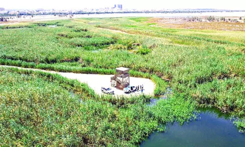 ജ​ഹ്​​റ നാ​ച്വ​റ​ൽ റി​സ​ർ​വ്​  വാ​രാ​ന്ത്യ​ത്തി​ൽ കു​ട്ടി​ക​ൾ​ക്കും കു​ടും​ബ​ത്തി​നും സൗ​ജ​ന്യ പ്ര​വേ​ശ​നം