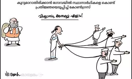 വിശ്വാസം, അതല്ലേ എല്ലാം!