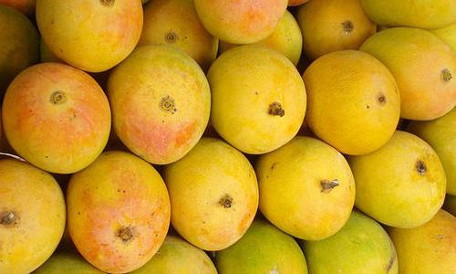 തീവിലയുമായി മാമ്പഴ രാജാവ്​ വരവറിയിച്ചു; ഒന്നിന്​ 300 രൂപ!