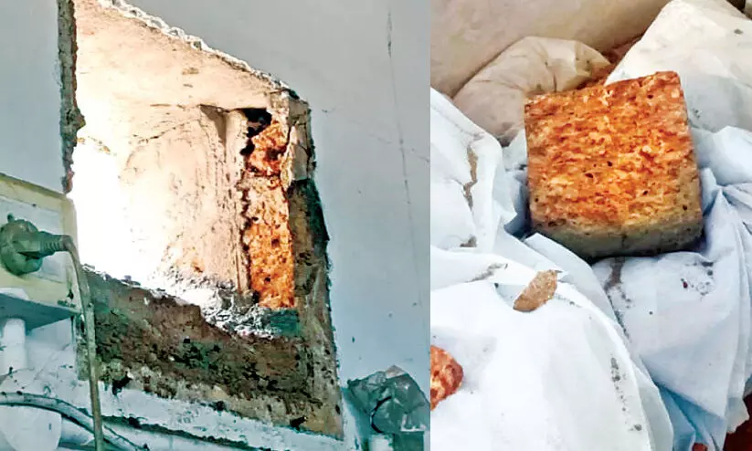 നടക്കാവിൽ വ്യാപാര സ്ഥാപനങ്ങളിൽ അതിക്രമം; ചുമർ തുരന്ന് മാലിന്യം അകത്തിട്ടു നടക്കാവിൽ വ്യാപാര സ്ഥാപനങ്ങളിൽ അതിക്രമം; ചുമർ തുരന്ന് മാലിന്യം അകത്തിട്ടു