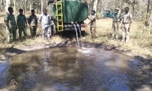 വന്യജീവികൾക്ക് ദാഹജലമൊരുക്കി വനപാലകർ