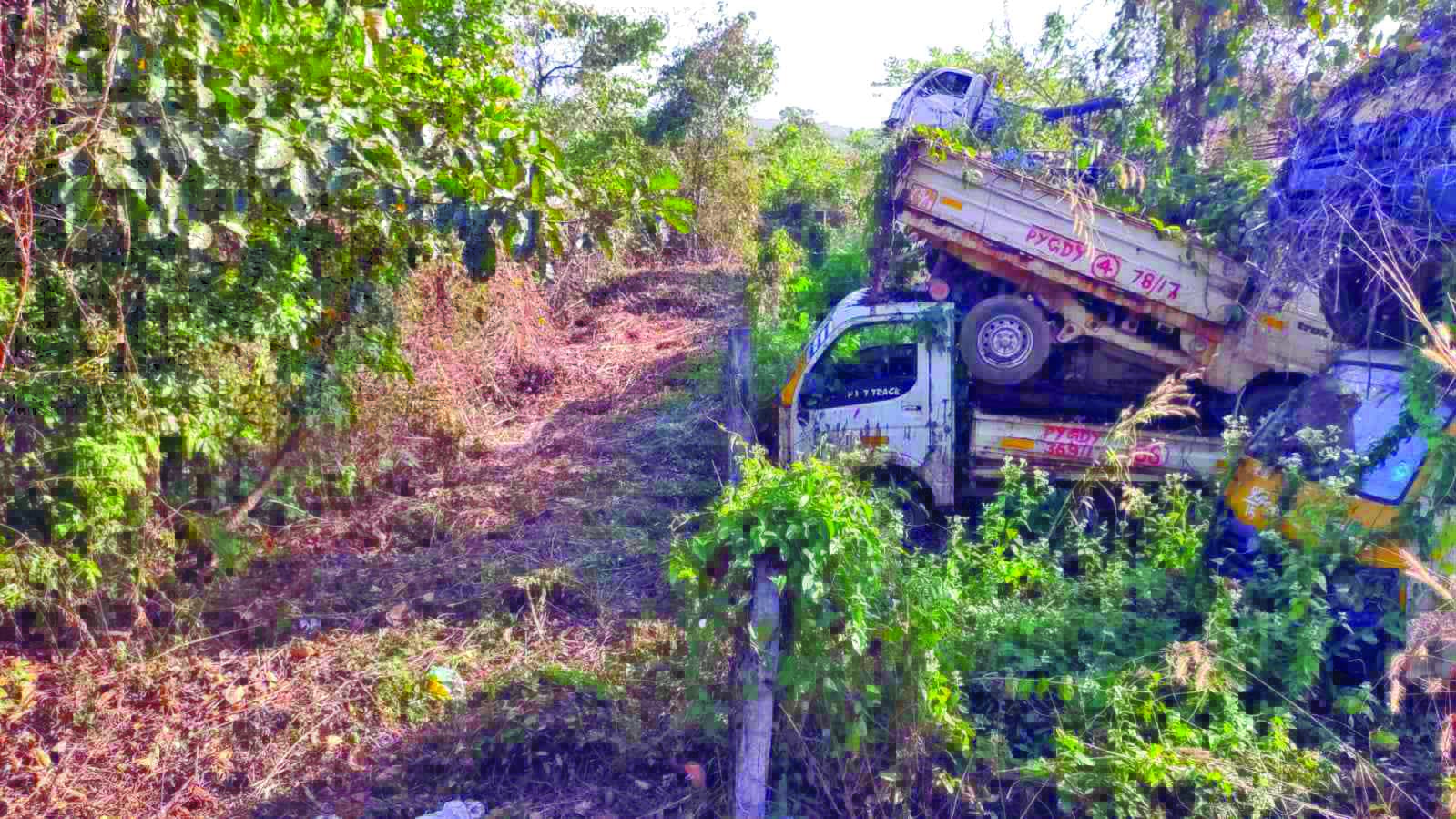 തീപിടിത്തം തടയാൻ കാടുവെട്ടിത്തെളിച്ച് ഫയര് ബെല്റ്റ് സ്ഥാപിച്ചു തീപിടിത്തം തടയാൻ കാടുവെട്ടിത്തെളിച്ച് ഫയര് ബെല്റ്റ് സ്ഥാപിച്ചു